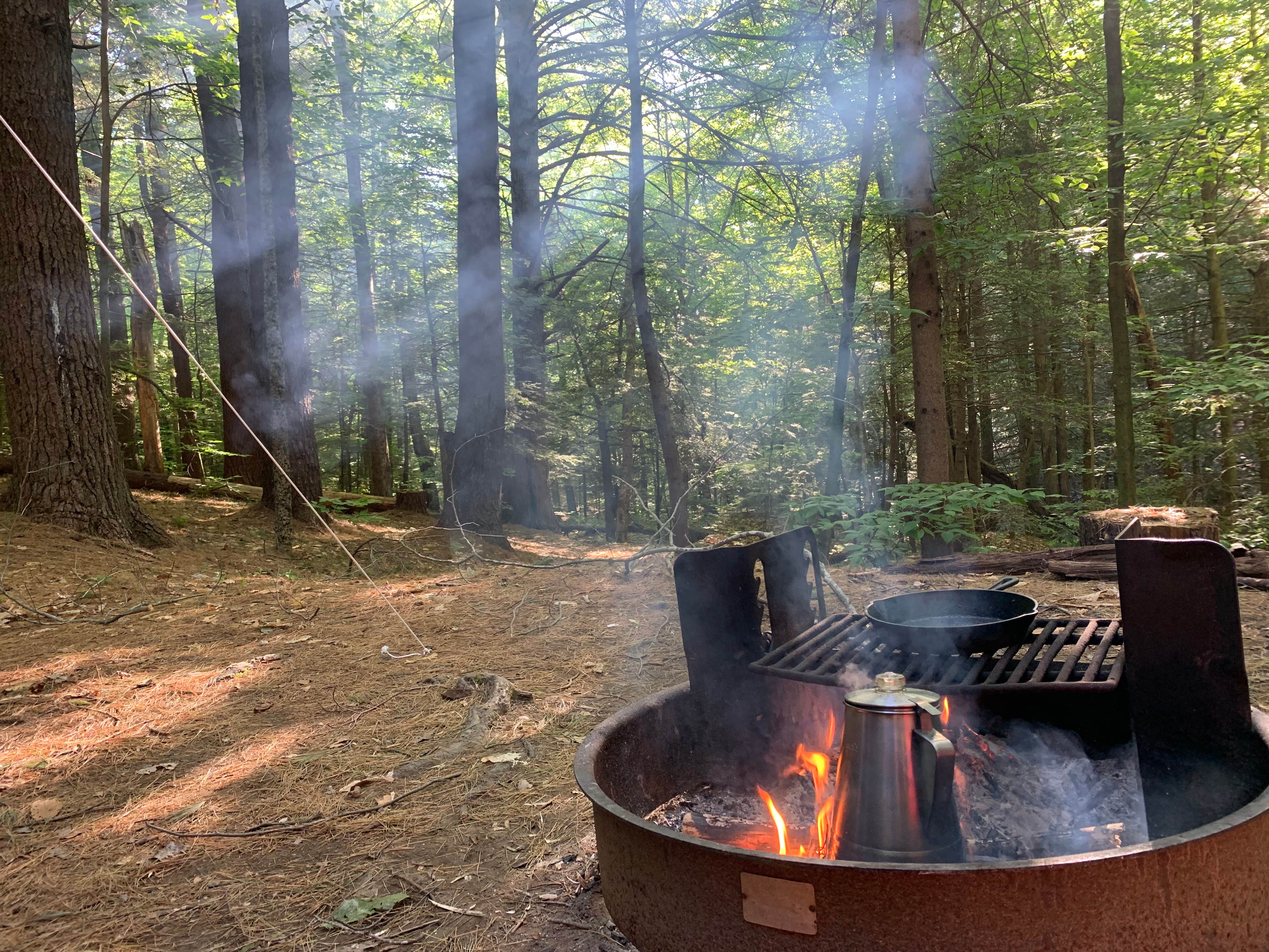 Camper submitted image from Granville State Forest - 3