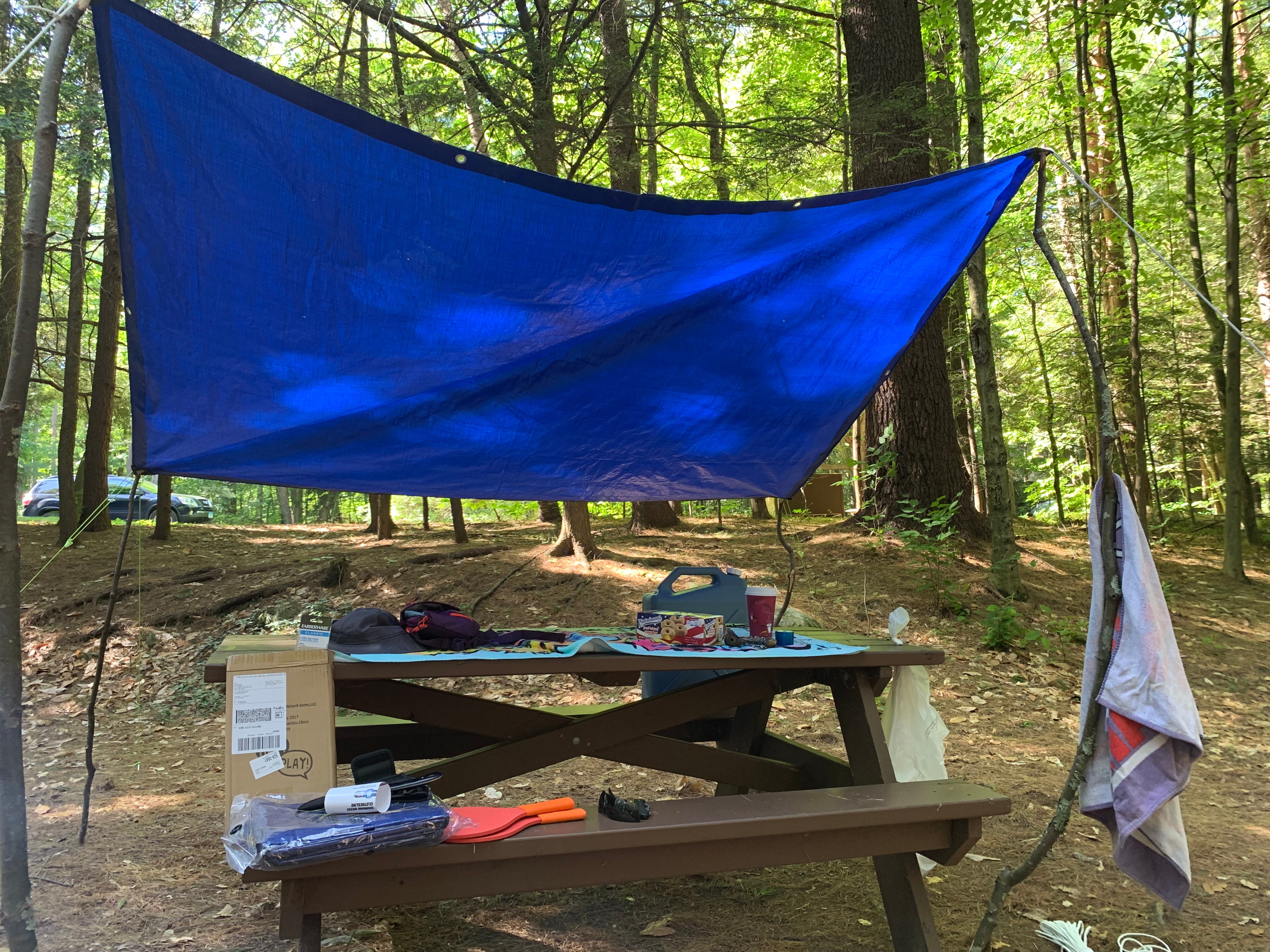 Camper submitted image from Granville State Forest - 2