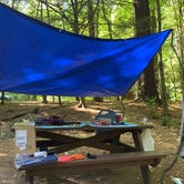 Review photo of Granville State Forest by Rosie M., June 10, 2019