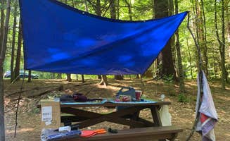 Rosie M.'s photo at Granville State Forest near Avon, CT