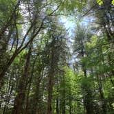 Review photo of Granville State Forest by Rosie M., June 10, 2019