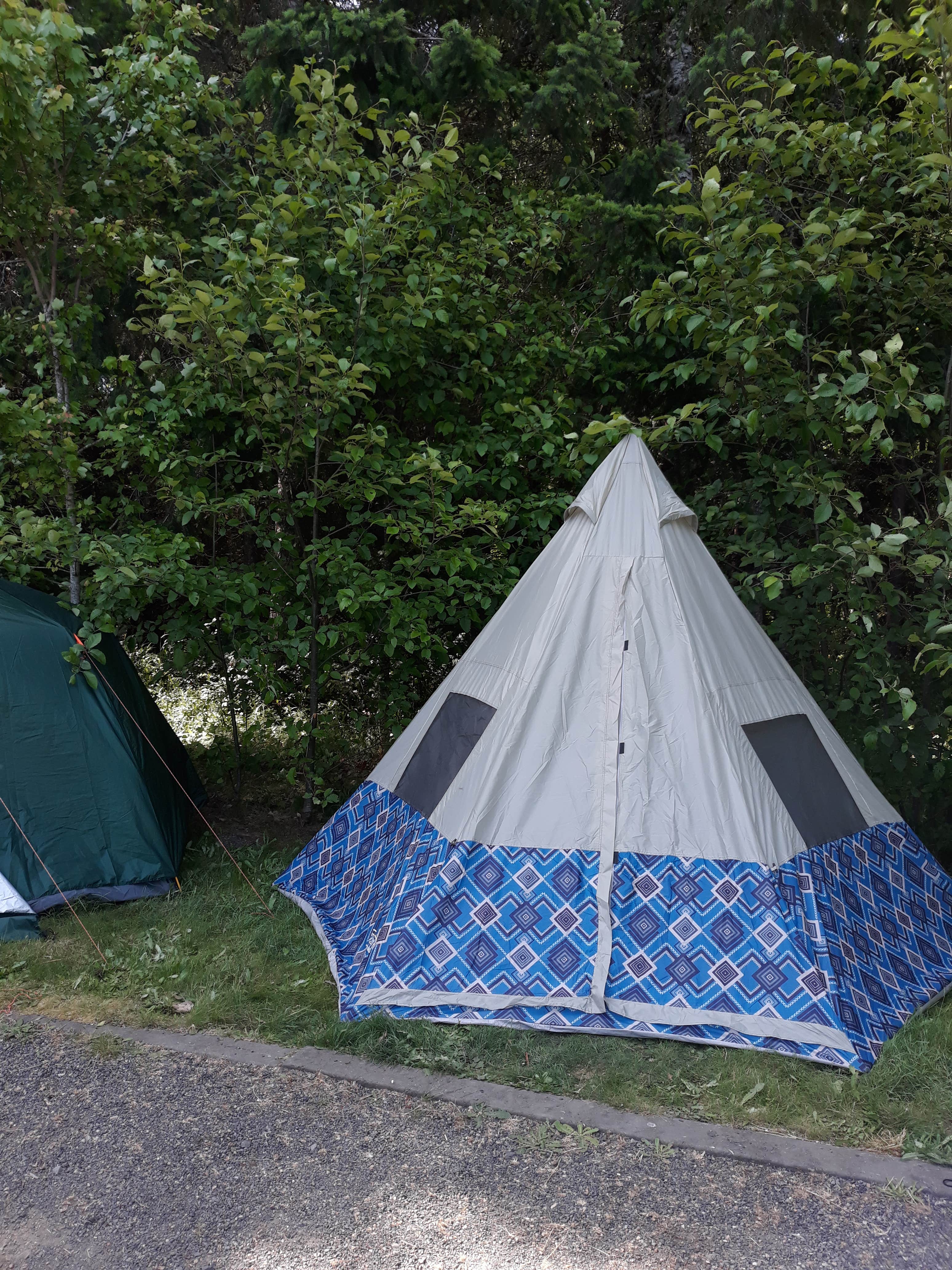 Camper submitted image from Dairy Creek West - L L Stub Stewart State Park — L.L. Stub Stewart State Park - 5