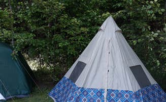 Salih K.'s photo at Dairy Creek West — L.L. Stub Stewart Memorial State Park near Vernonia, OR