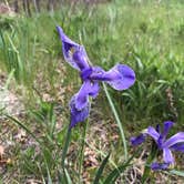 Review photo of Lake Alice Campground — Sugarite Canyon State Park by George C., June 10, 2019