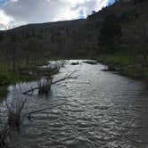 Review photo of Lake Alice Campground — Sugarite Canyon State Park by George C., June 10, 2019