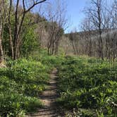 Review photo of Lake Alice Campground — Sugarite Canyon State Park by George C., June 10, 2019