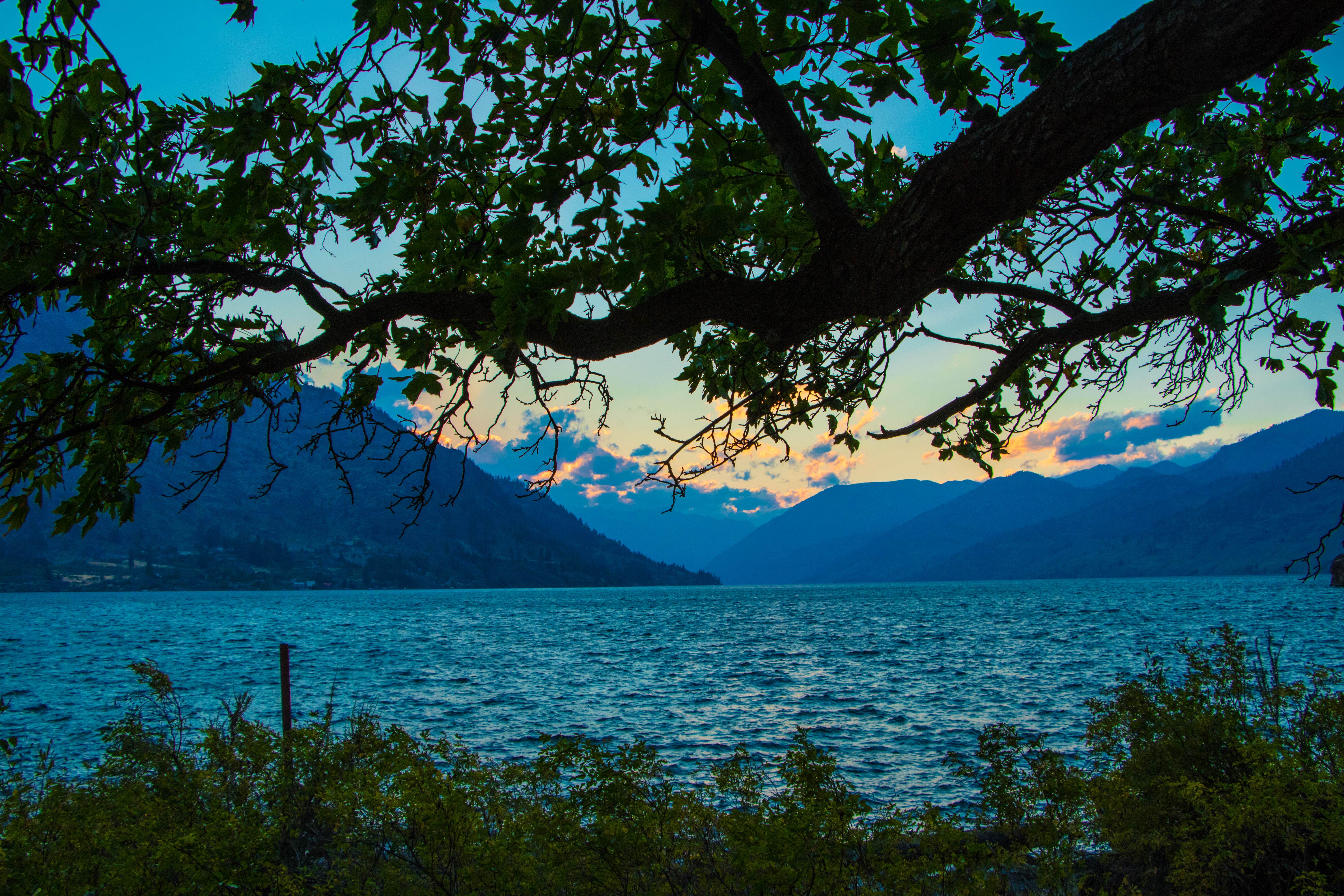Camper submitted image from Mitchell Creek Campground - 2