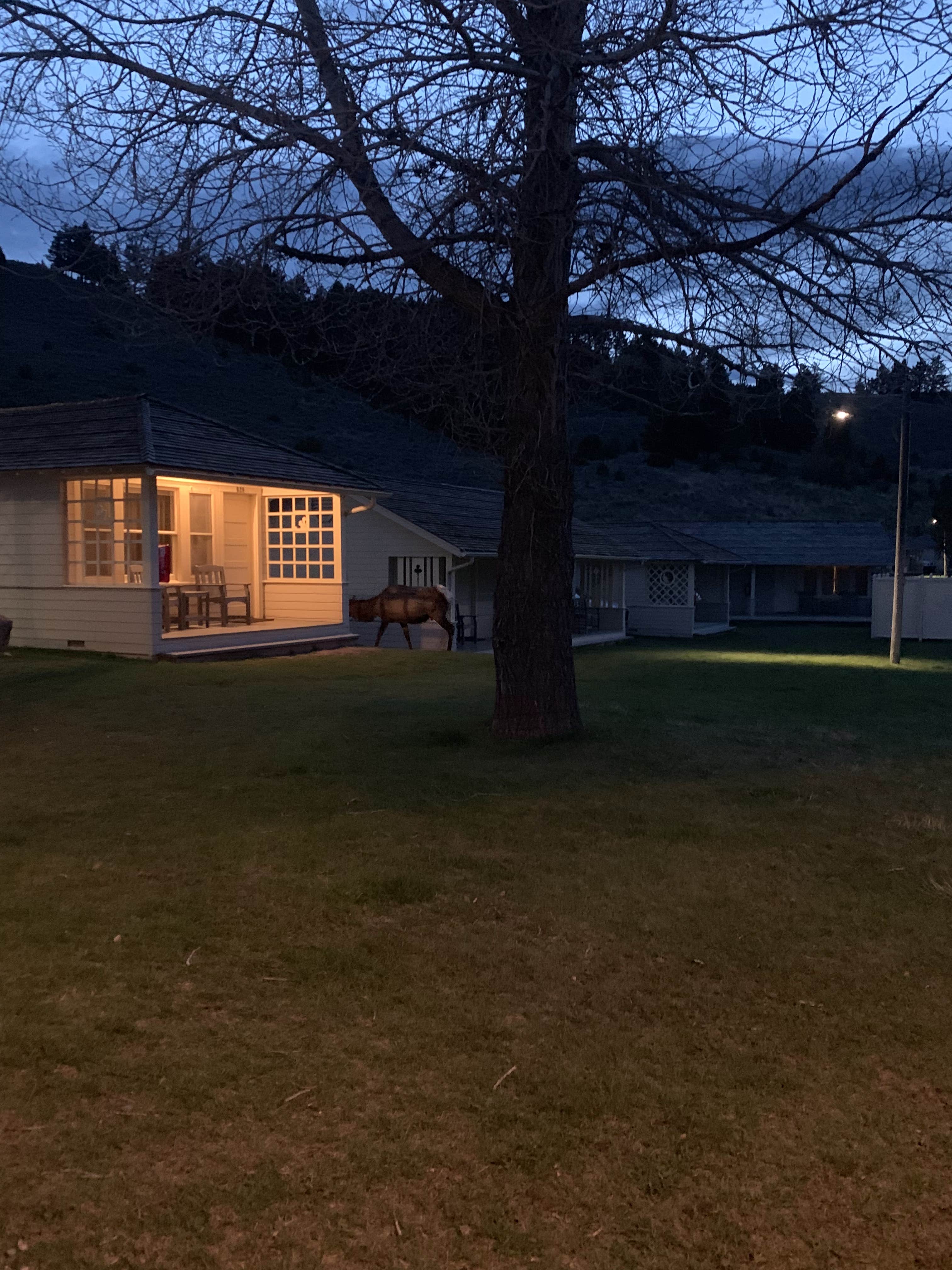 Katherine B.'s photo of glamping accommodations at Mammoth Campground — Yellowstone National Park near Cooke City, MT