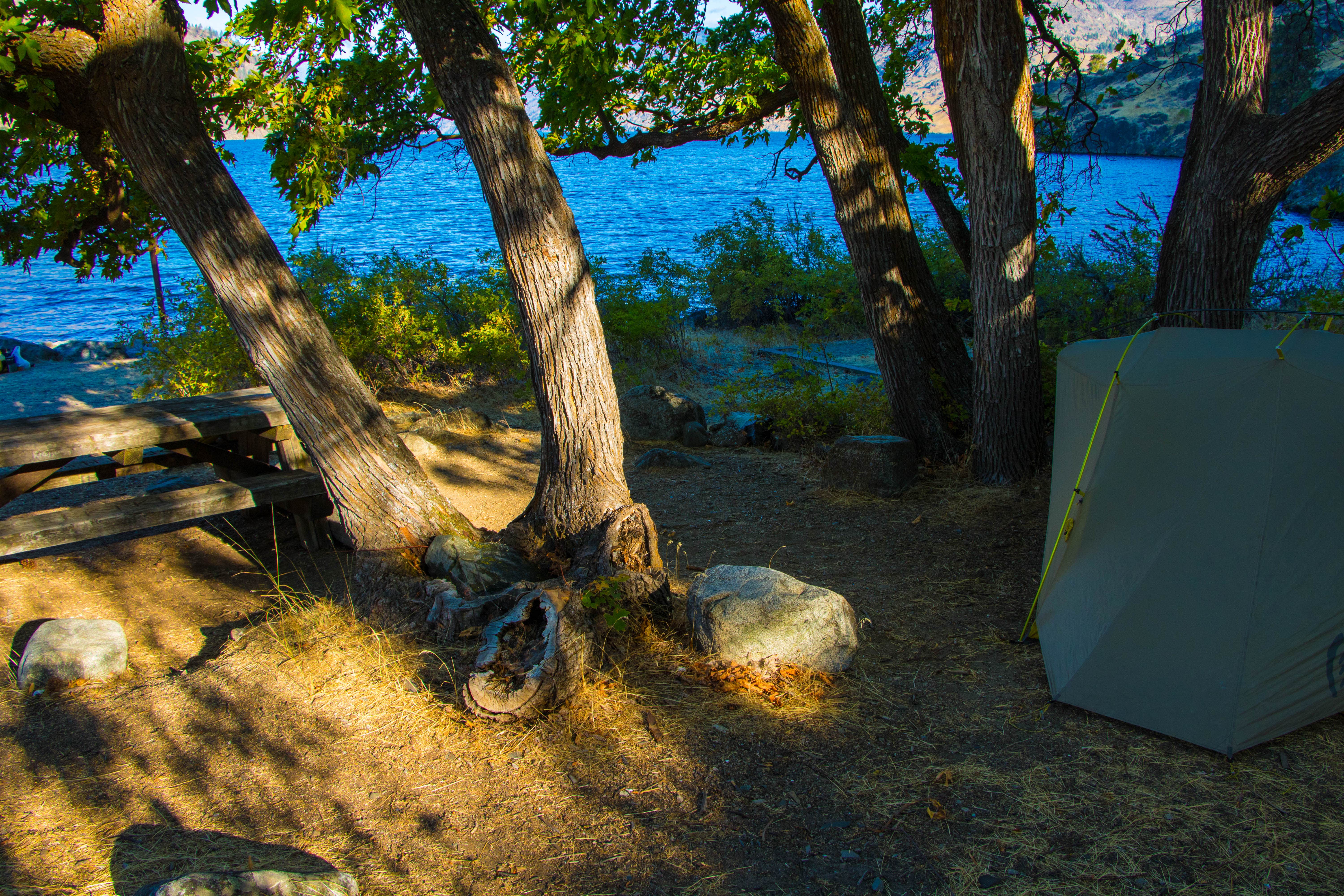 Camper submitted image from Mitchell Creek Campground - 1