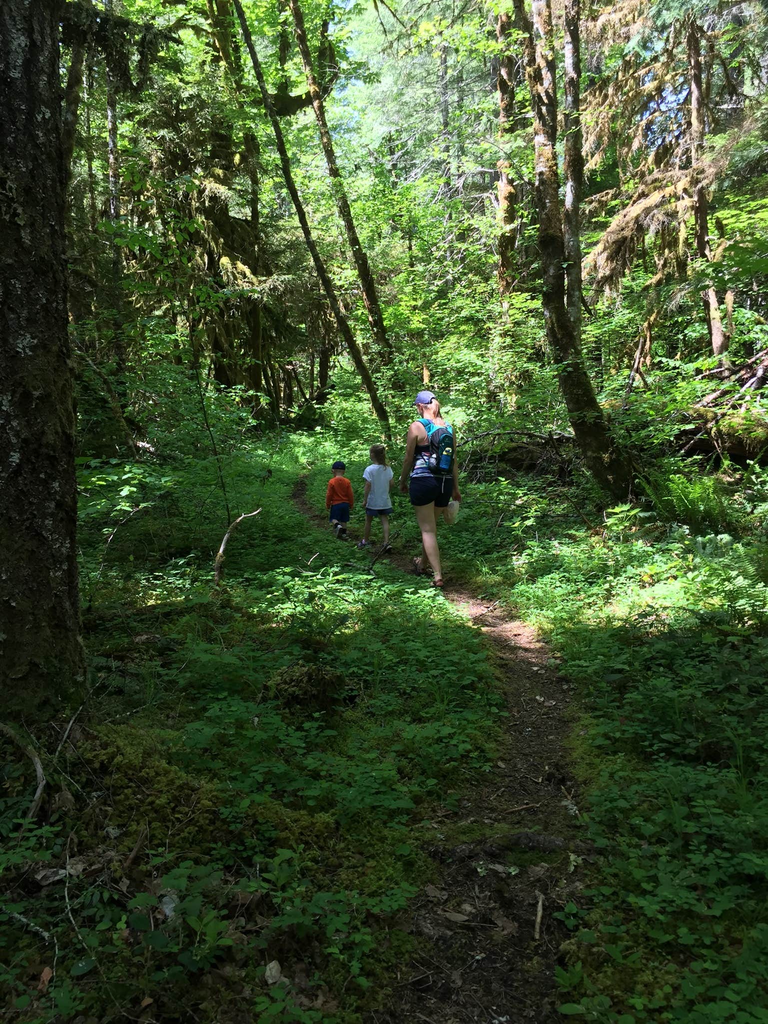 Camper-submitted photo at Humbug Campground near Gates, OR