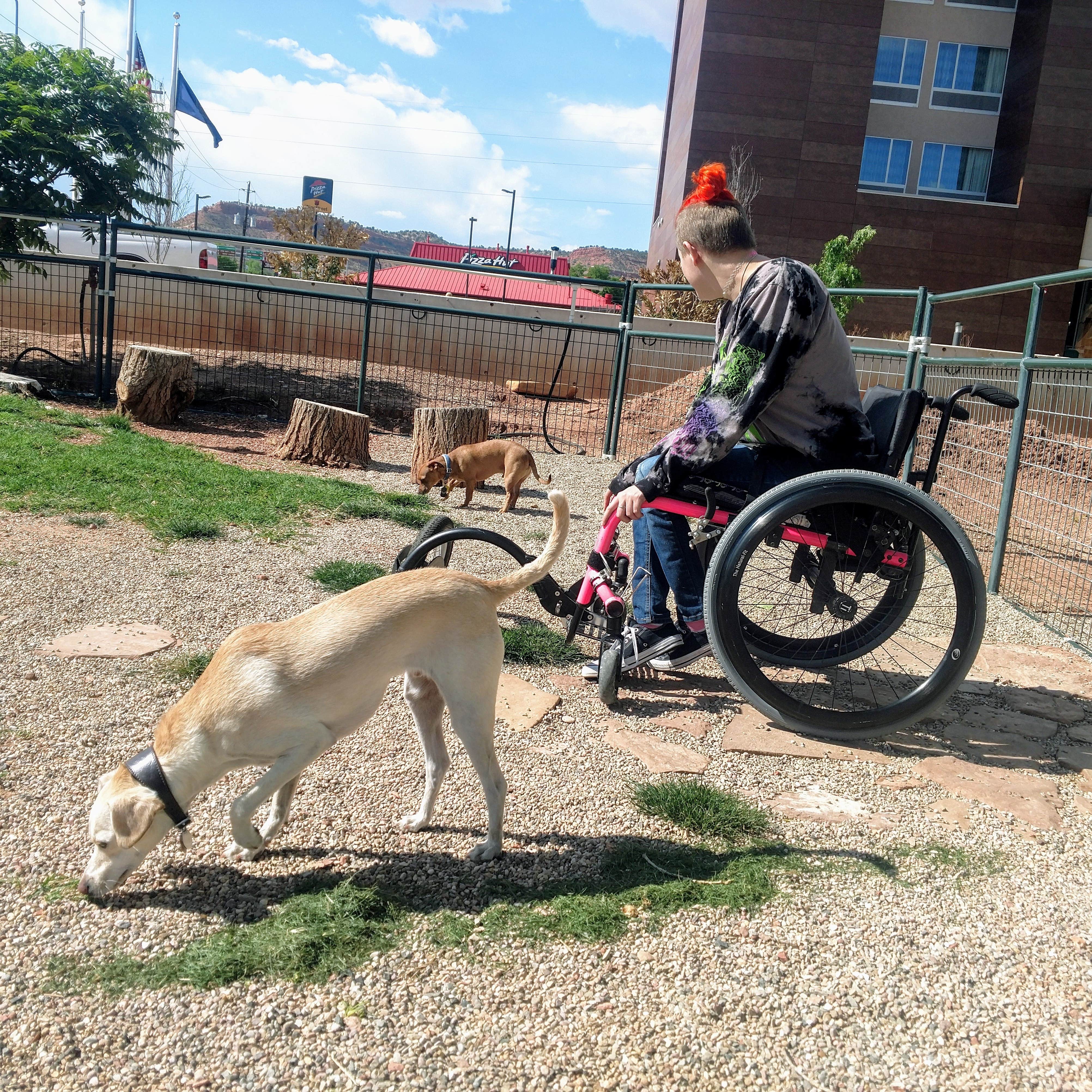 Wheelin With Hope's photo of camping with pets at Kanab RV Corral in Utah