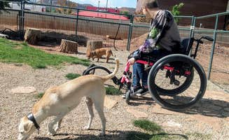 Wheelin With Hope's photo of camping with pets at Kanab RV Corral near Kanab, UT