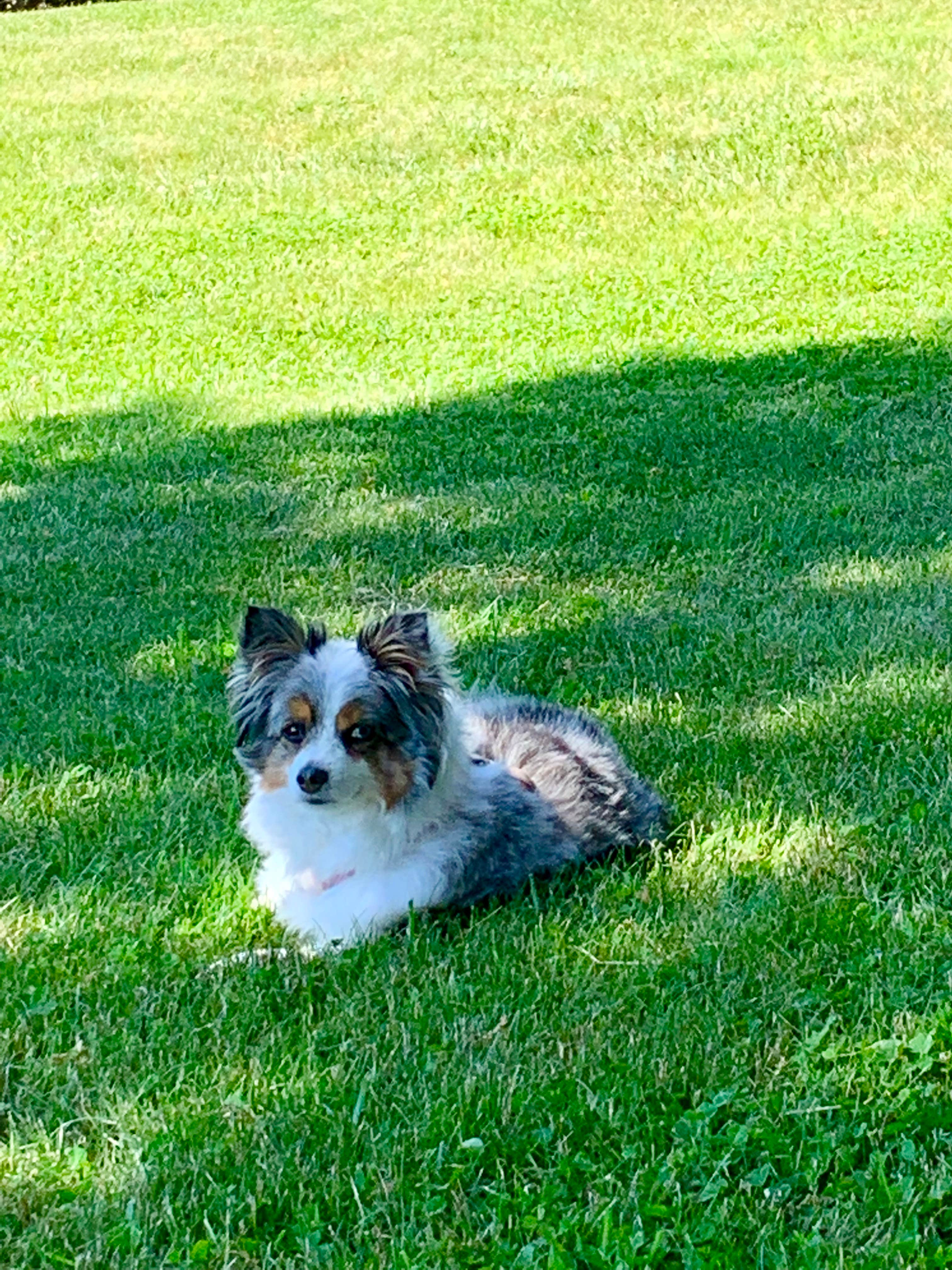 Camper-submitted photo at Sea-Vu West Premier RV Resort near York Beach, ME