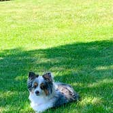 Review photo of Sea-Vu West Premier RV Resort by Susan J., June 11, 2019