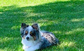 Susan J.'s photo of camping with pets at Sea-Vu West Premier RV Resort near Rochester, NH