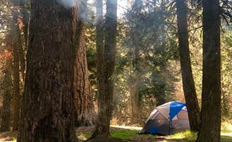 Mary B.'s photo at Panjab Campground near Walla Walla, WA