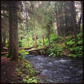 Review photo of Seward City Campgrounds by Staci J., September 1, 2016