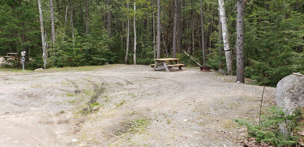 Camper submitted image from Wilderness Edge Campground - 5