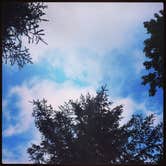 Review photo of Seward City Campgrounds by Staci J., September 1, 2016