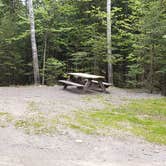 Review photo of Wilderness Edge Campground by Jean C., June 11, 2019