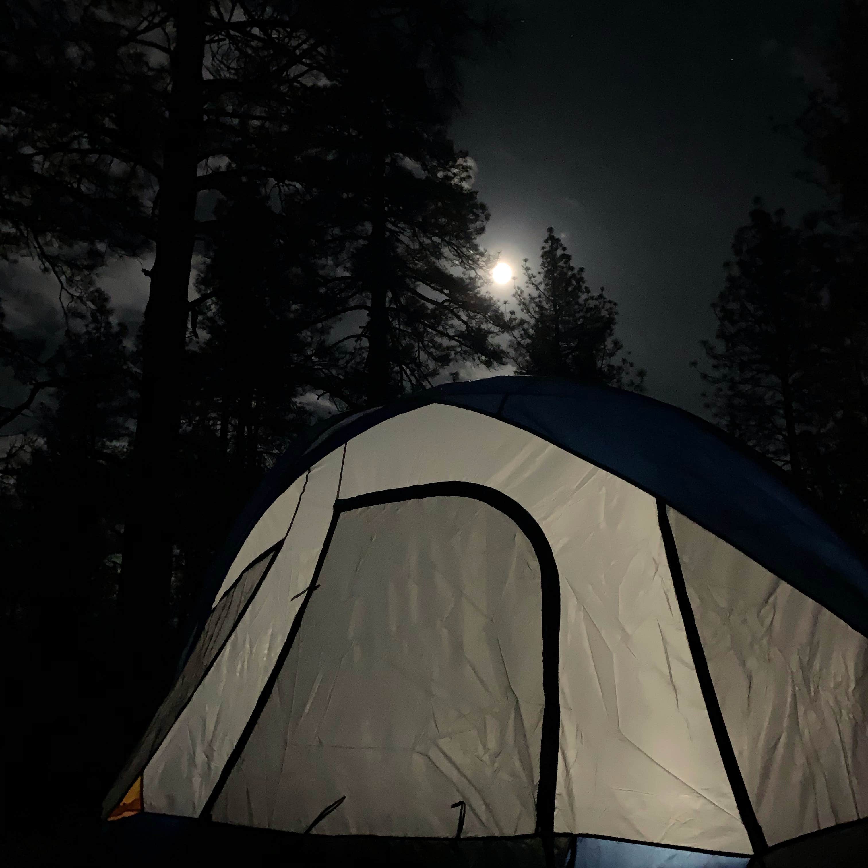 Dad & B R.'s photo at Hurkey Creek Park near Anza, CA