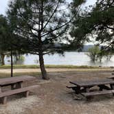 Review photo of Hurkey Creek Park by Dad & B R., June 11, 2019