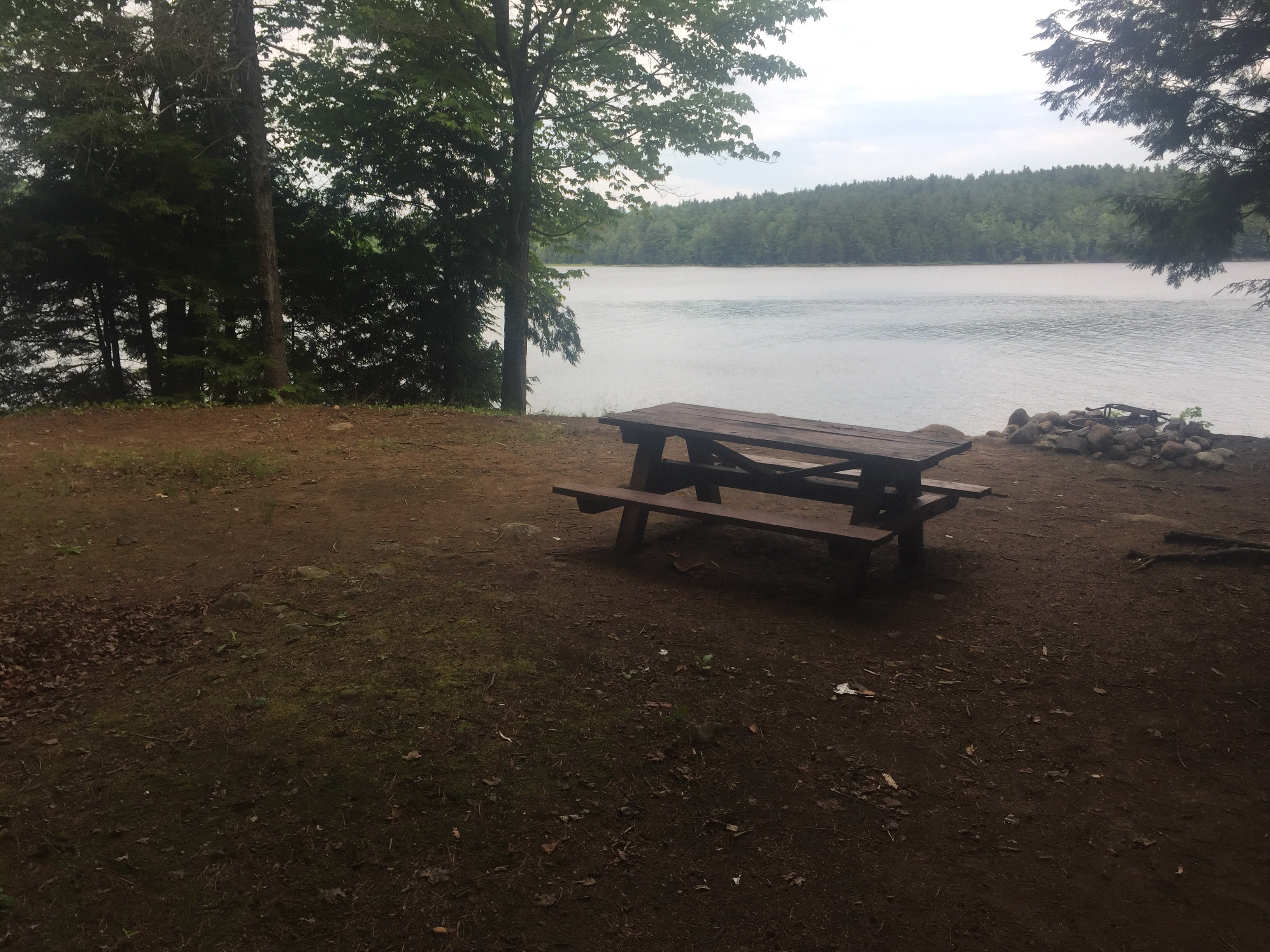 Camper submitted image from Lincoln Pond Campground - 5
