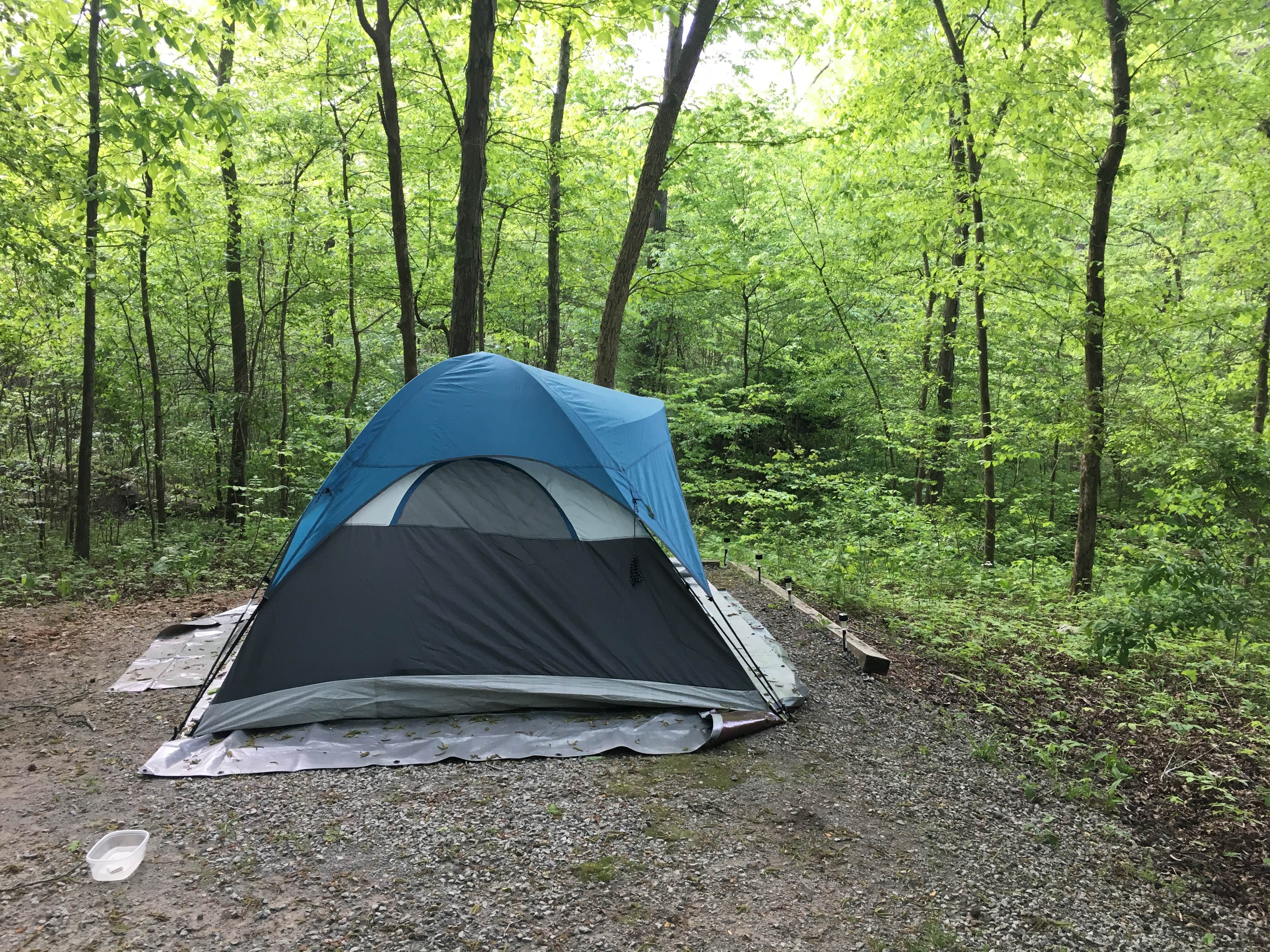 Kaitlyn C.'s photo at Redd Hollow near Land Between the Lakes National Recreation Area