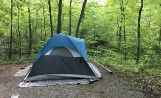 Kaitlyn C.'s photo at Redd Hollow near Land Between the Lakes National Recreation Area