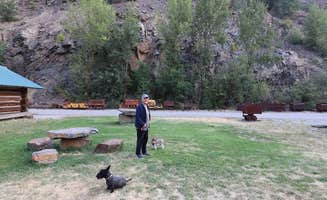 Jeff T.'s photo of camping with pets at Crystal Gold Mine near Cataldo, ID
