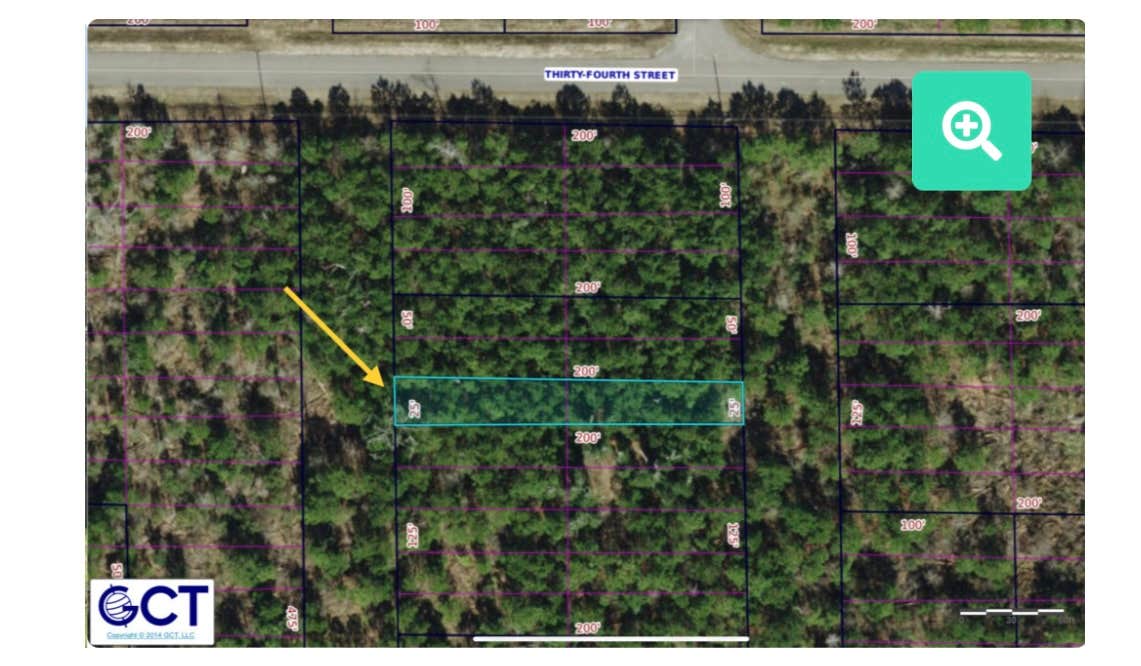 Camper submitted image from Ole mississip plot - 2