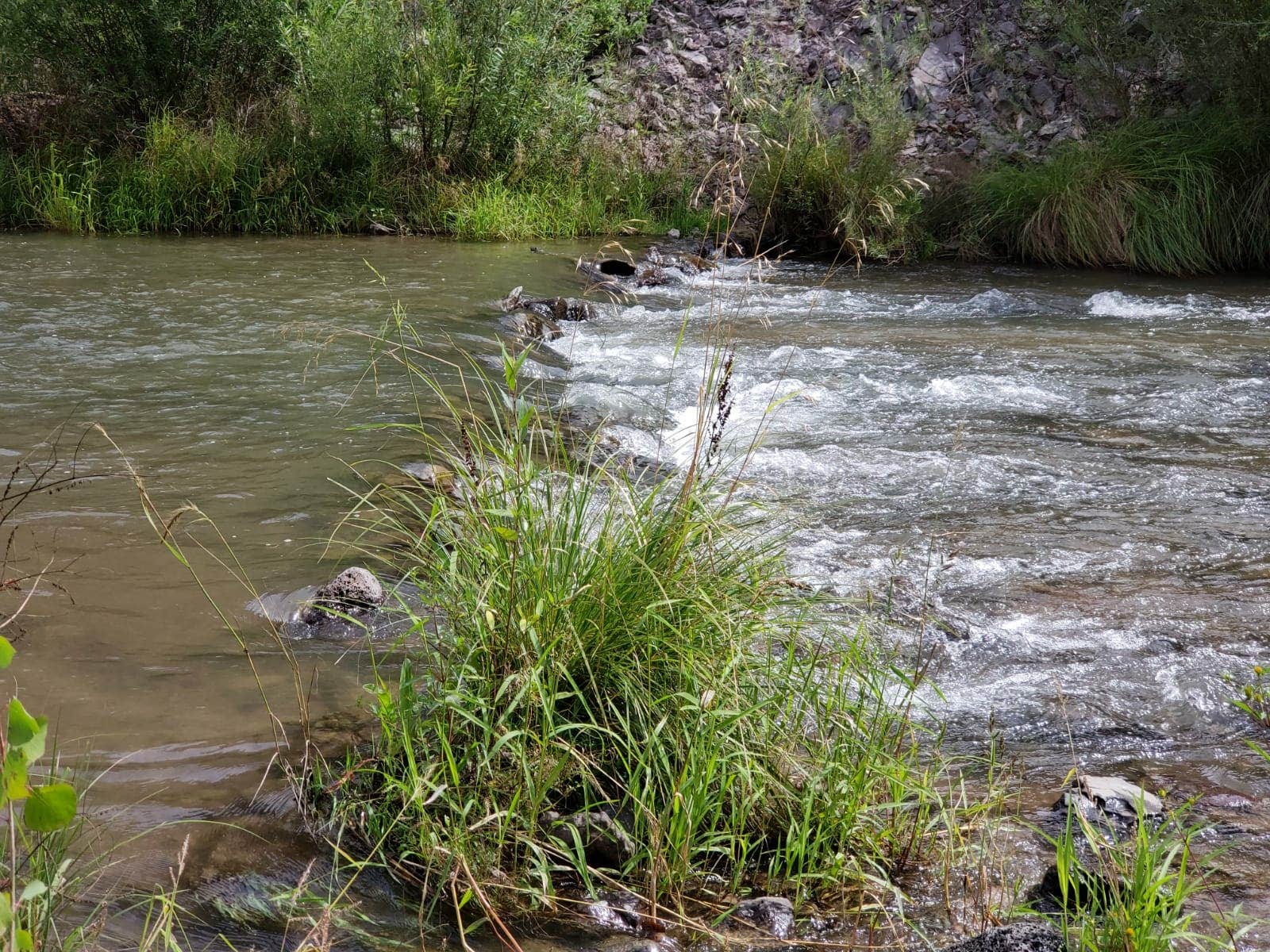 Camper submitted image from Gila Hot Springs Campground - 5