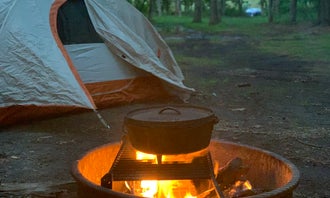 Camping near Heckscher State Park: Cathedral Pines County Park, Middle Island, New York