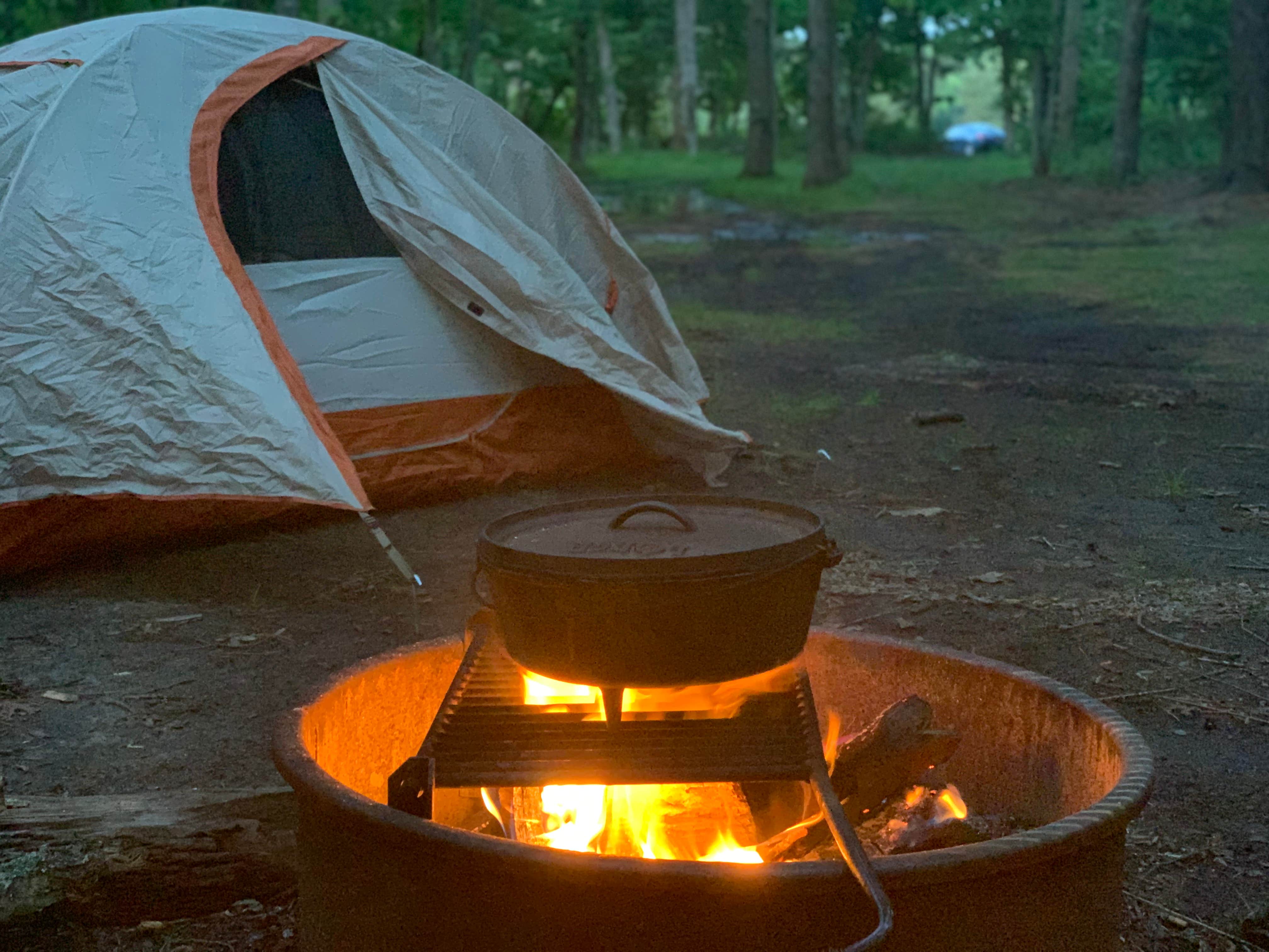 Connor M.'s photo at Cathedral Pines County Park near Westhampton Beach, NY