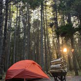 Review photo of Seawall Campground — Acadia National Park by Kyle R., June 11, 2019