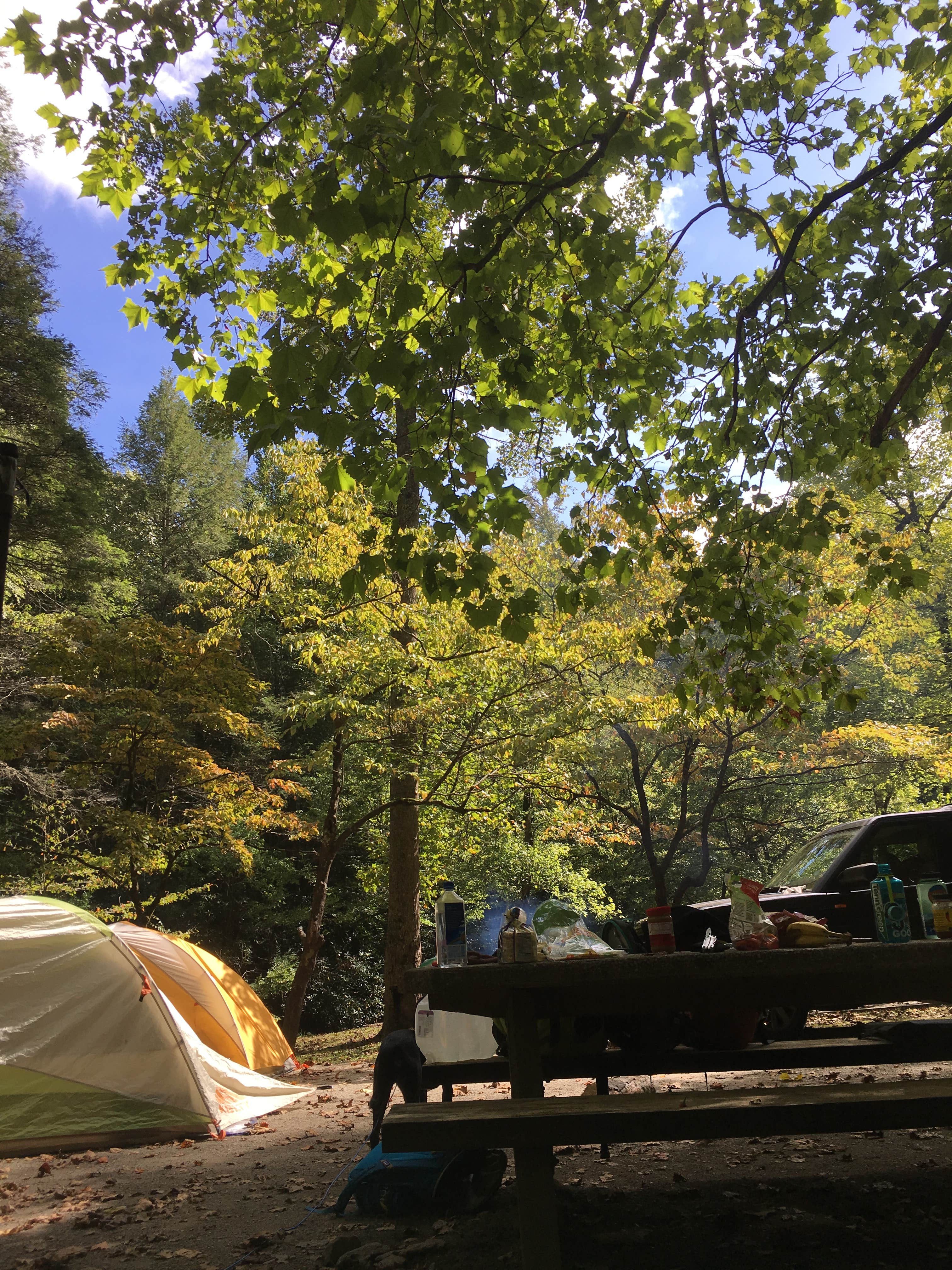 Camping near Top of the World RV: Tellico River Area, Coker Creek, Tennessee