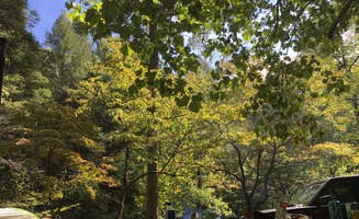 Liz T.'s photo at Tellico River Area near Tellico Plains, TN