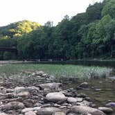 Review photo of Bandy Creek Campground — Big South Fork National River and Recreation Area by Liz T., June 11, 2019