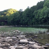 Review photo of Bandy Creek - Big South Fork National River Rec Area by Liz T., June 11, 2019