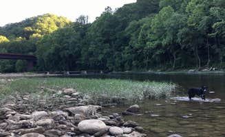 Liz T.'s photo of camping with pets at Bandy Creek - Big South Fork National River Rec Area near Albany, KY