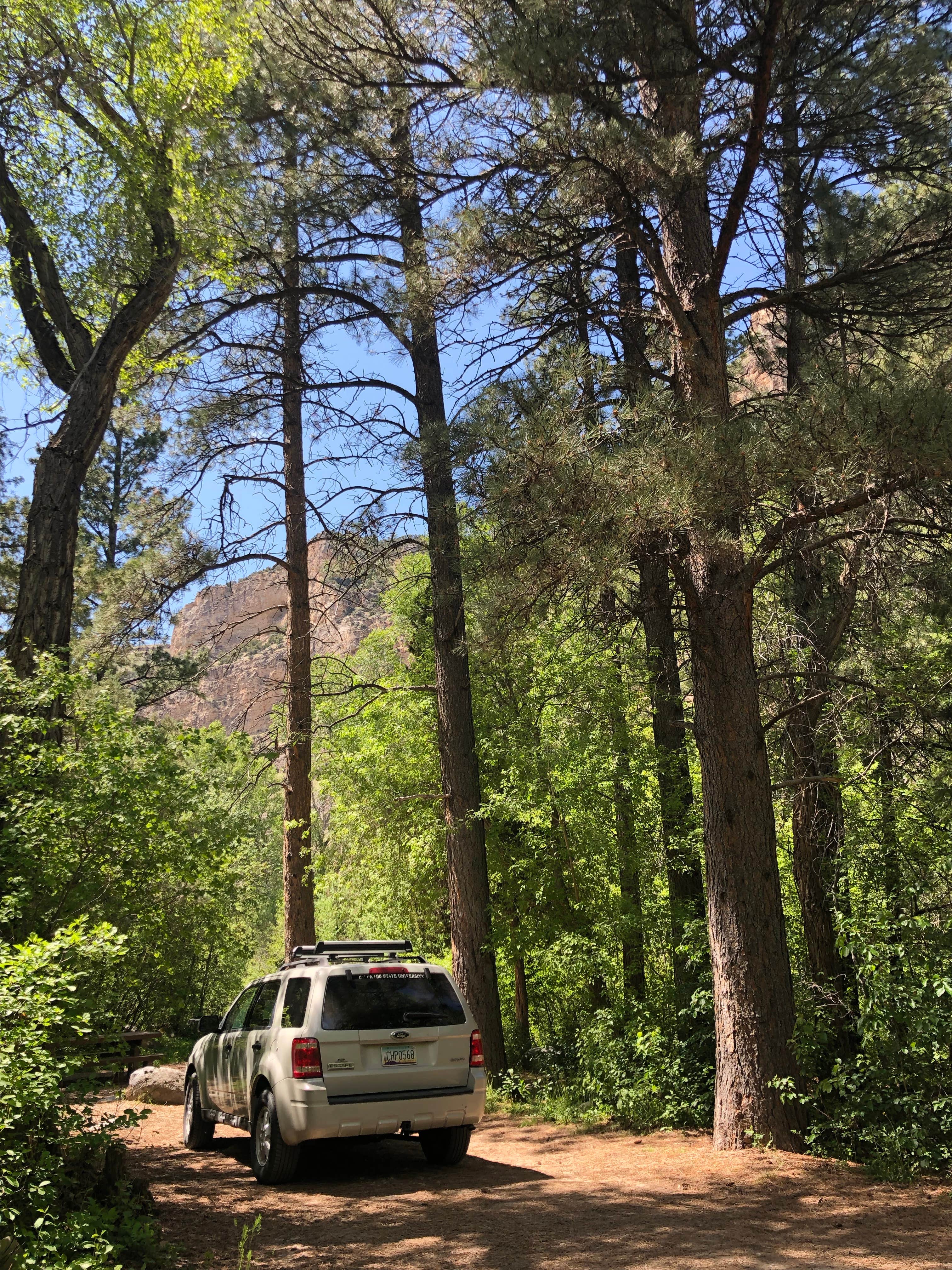 Sara H.'s photo of rv camping at Leigh Creek Campground near Hyattville, WY