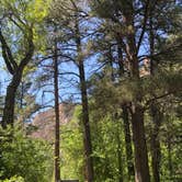 Review photo of Leigh Creek Campground by Sara H., June 11, 2019