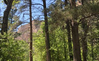Sara H.'s photo of rv camping at Leigh Creek Campground near Bighorn National Forest