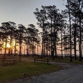 Review photo of Tom's Cove Park by Rita M., June 11, 2019