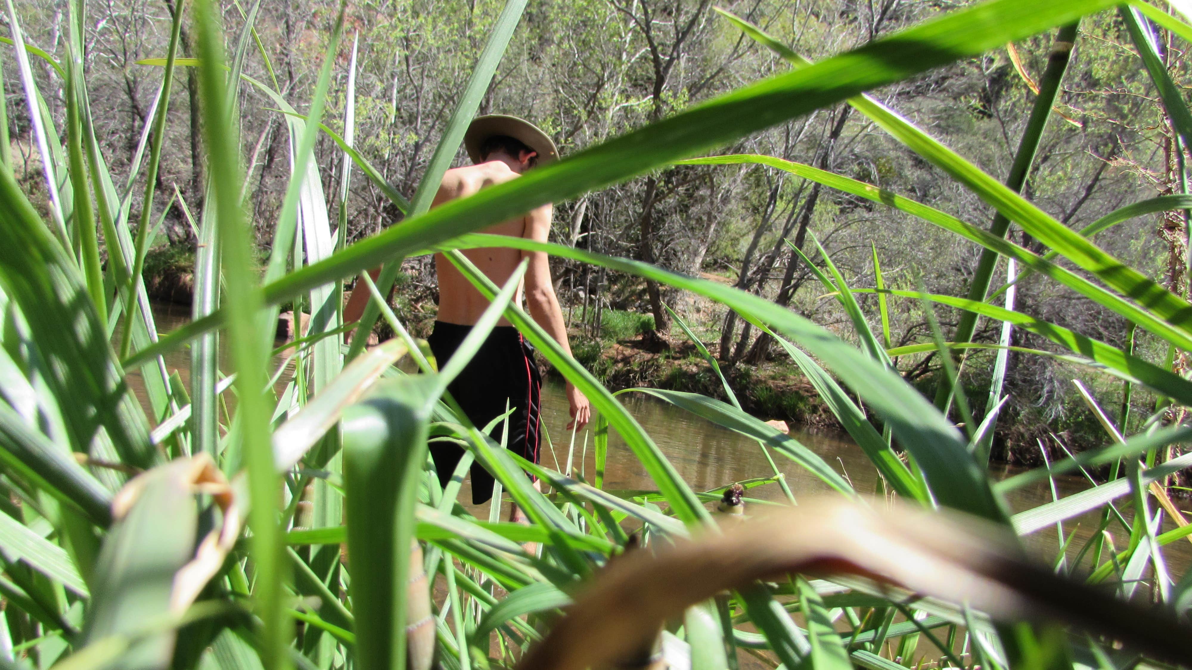 Camper submitted image from Oak Creek Campsites - 3