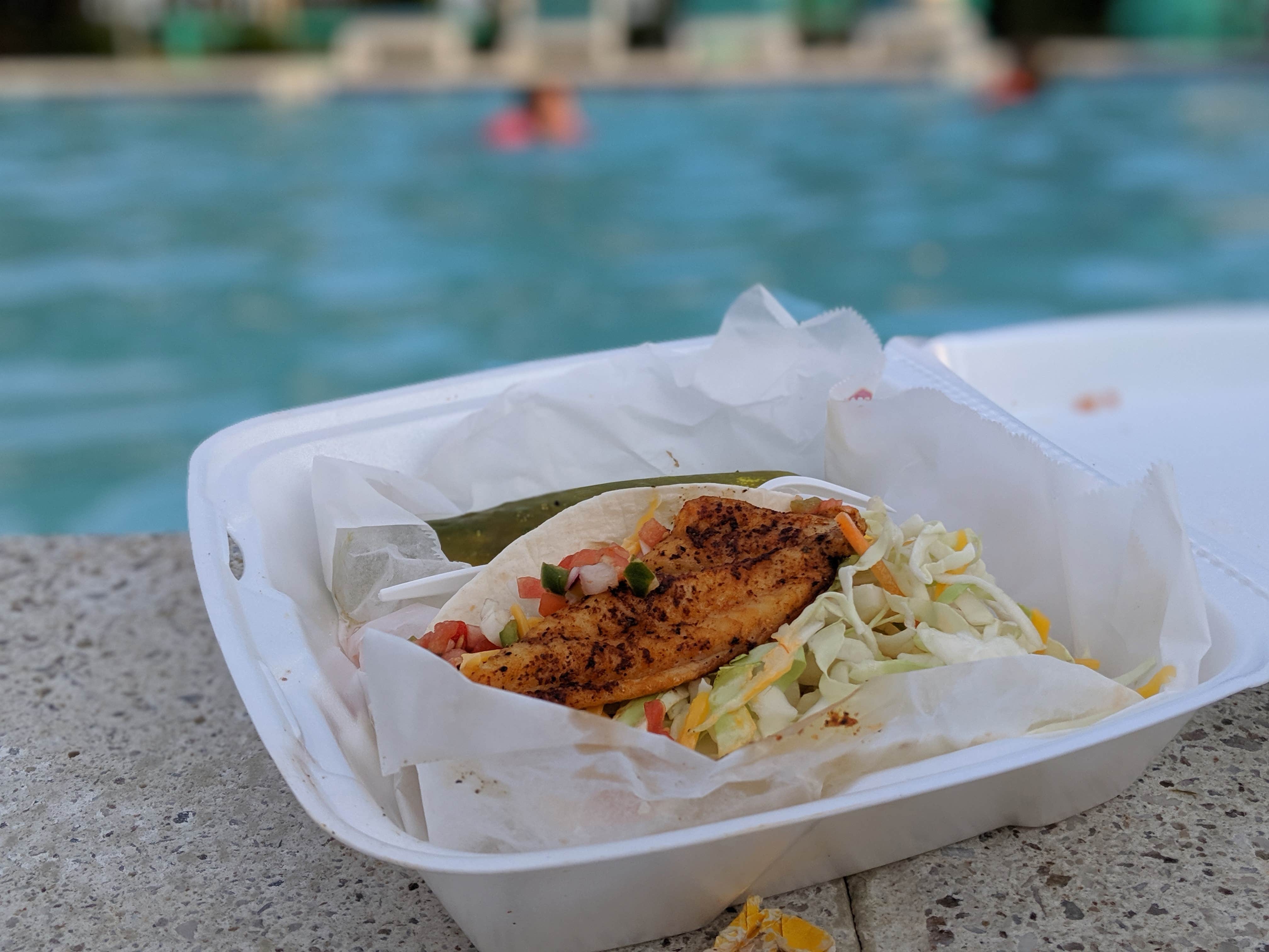 Rita M.'s photo of camping with pets at Tom's Cove Park near Pocomoke City, MD