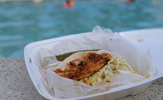 Rita M.'s photo of camping with pets at Tom's Cove Park near Assateague Island National Seashore