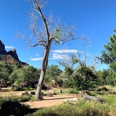 Review photo of Zion Dump Station by Carly E., June 11, 2019