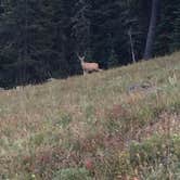 Review photo of Ranger Creek by Billy B., September 1, 2016