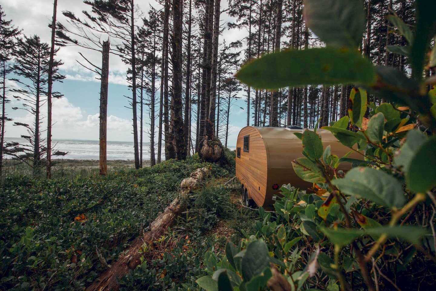 Camper submitted image from Roam Beyond - Kalaloch - 4